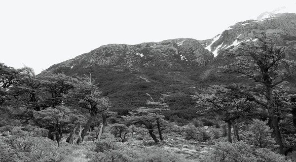 Landschap Van Monte Fitz Roy Berg Nationaal Park Los Glaciares — Stockfoto