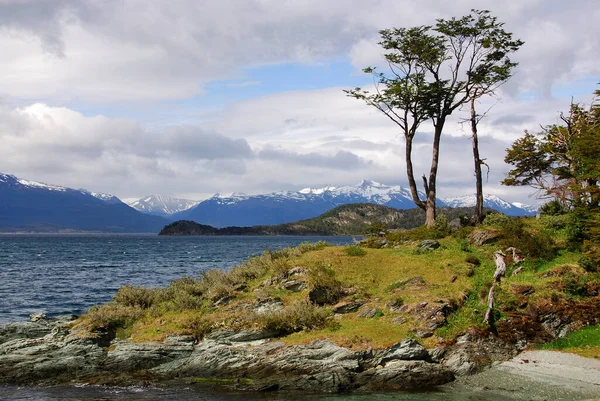 Tierra Del Fuego Ulusal Parkı Arjantin Tierra Del Fuego Adasının — Stok fotoğraf