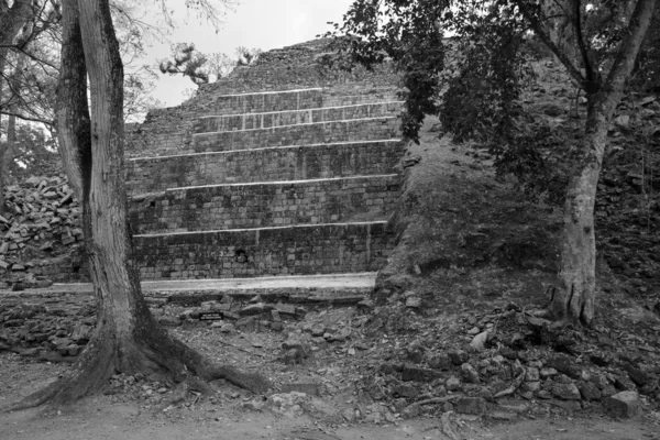 Tikal Guatemala Maio 2016 Sítio Arqueológico Civilização Maia Pré Colombiana — Fotografia de Stock