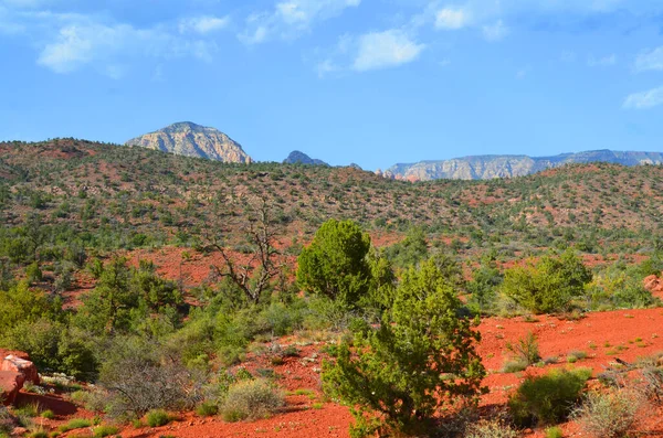Sedona公园横跨美国亚利桑那州北部佛得角谷地区的一个县 Sedona的主要吸引力是它的一系列红色砂岩地层 — 图库照片