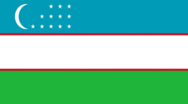 Uzbekistan Flag Background Texture — Stock Photo, Image