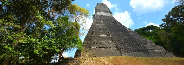 Tikal Gwatemala 2016 Stanowisko Archeologiczne Prekolumbijskiej Cywilizacji Majów Parku Narodowym — Zdjęcie stockowe