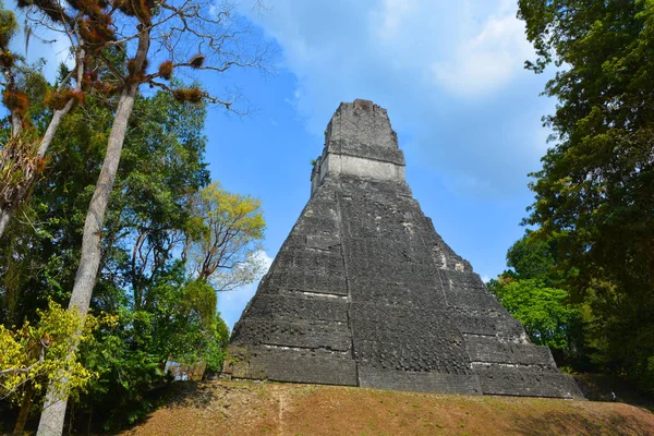 Tikal Guatemala Mayo 2016 Sitio Arqueológico Civilización Maya Precolombina Parque —  Fotos de Stock