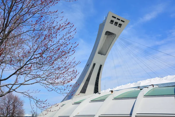 Montreal Canada 2019 Estadio Olímpico Montreal Torre Torre Inclinada Más — Foto de Stock