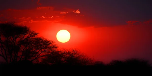 Puesta Sol Río Kwando Franja Caprivi Namibia — Foto de Stock