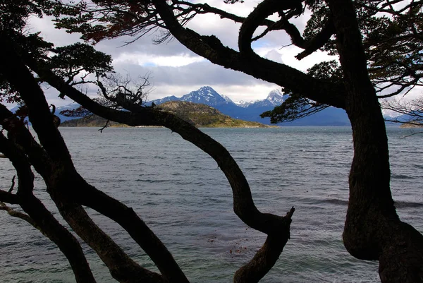 Národní Park Tierra Del Fuego Národním Parkem Argentinské Části Ostrova — Stock fotografie