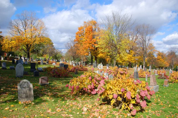 秋天有墓碑的旧坟场 — 图库照片