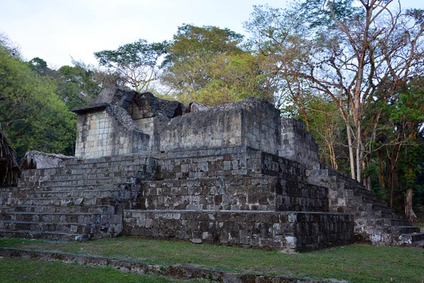 Tikal Guatemala May 2016 Archaeological Site Pre Columbian Maya Civilization — стокове фото