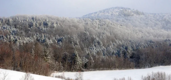 Esqui Montanhas Bukovel Inverno — Fotografia de Stock