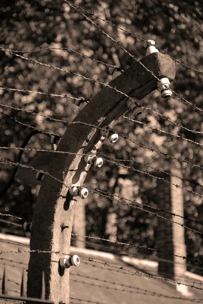 Auschwitz Birkenau Poland Auschwitz Concentration Camp Fences Network German Nazi — Foto de Stock