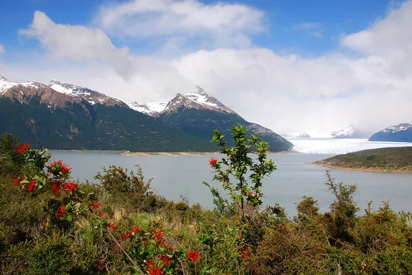 Lago Argentino 아르헨티나 산타크루스의 파타고니아 호수이다 — 스톡 사진