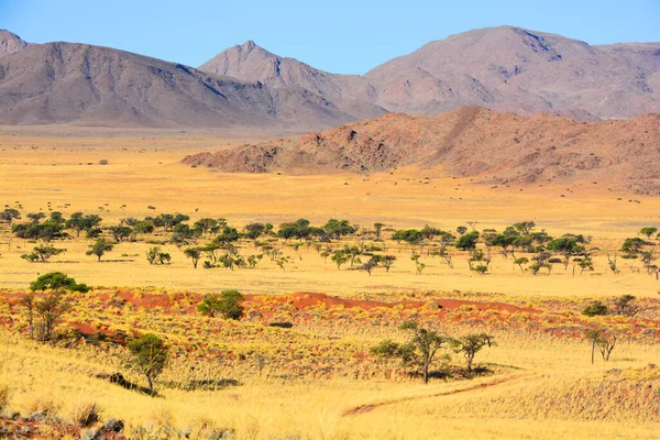 Paisagem Parque Nacional Namib Naukluft Parque Nacional Namíbia Que Abrange — Fotografia de Stock