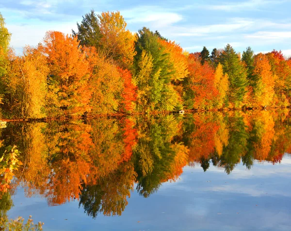 Alberi Colorati Stagno Nel Parco Autunnale — Foto Stock