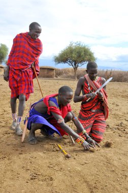 AMBOSELI, KENYA - 13 OCT: Masai kabilesinden tanımlanamayan Afrikalı insanlar Kenya 'nın Masai Mara kentinde 13 Ekim 2011' de geleneksel bir atlama dansı yapmaya hazırlanıyorlar. Onlar göçebe ve küçük köylerde yaşıyorlar..