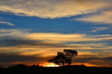 Namibya tatlısında gün batımı