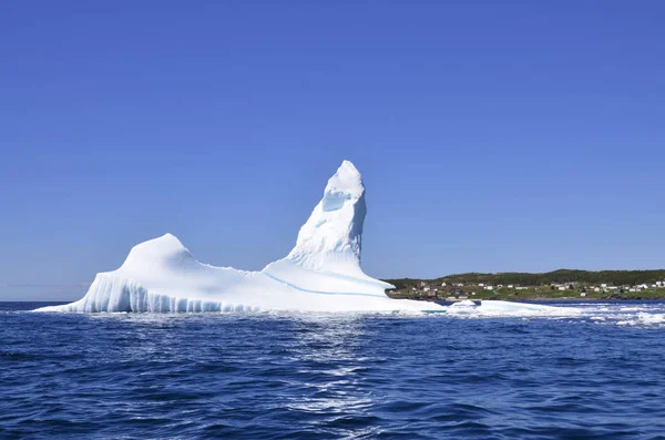 Eisberg Cape Bonavista Neufundland Kanada — Stockfoto