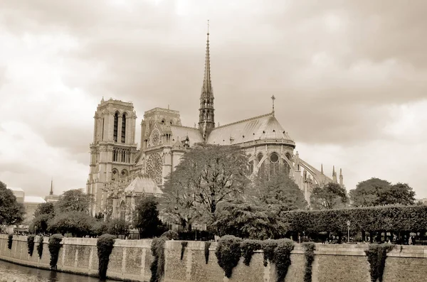 Paris France October Notre Dame Cathedral Paris France October 2013 — Stockfoto