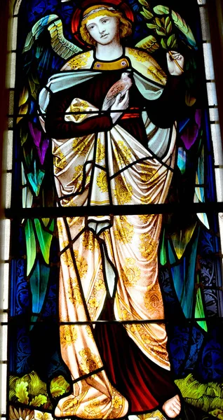 Halifax Nova Scotia June Stained Glass Window Paul Church Evangelical — 스톡 사진