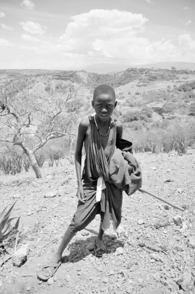 Serengeti Tanzania October Непізнаний Молодий Хлопчик Масаї Гуляє Африканському Буші — стокове фото