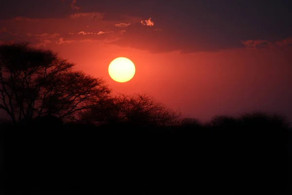 Время Захода Солнца Пустыне Набиа — стоковое фото
