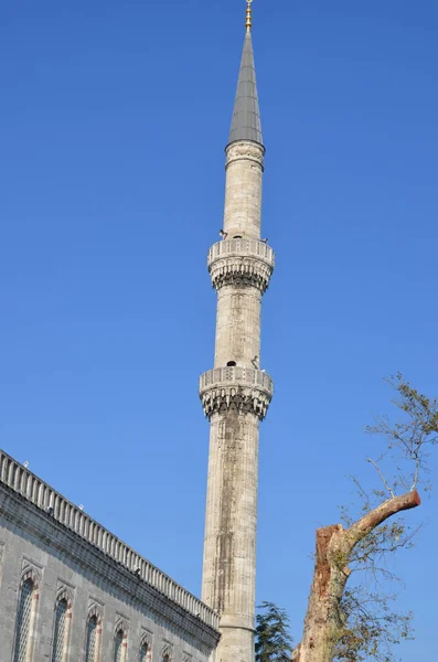 Istanbul Turkey Oktober Sultan Ahmed Moskén Oktober 2013 Istanbul Turkiet — Stockfoto