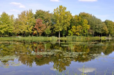 Kuzey Amerika sonbahar Quebec Bölgesi Kanada