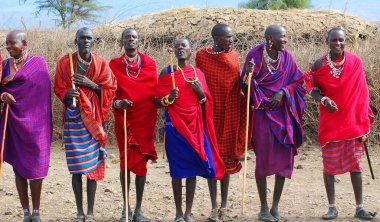 AMBOSELI, KENYA - 13 OCT: Masai kabilesinden tanımlanamayan Afrikalı insanlar Kenya 'nın Masai Mara kentinde 13 Ekim 2011' de geleneksel bir atlama dansı yapmaya hazırlanıyorlar. Onlar göçebe ve küçük köylerde yaşıyorlar..
