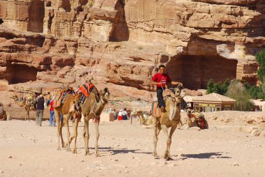 Petra-Ürdün 25 Numara: Kimliği belirsiz adam 25 Kasım 2009 Petra, Ürdün 'de deve gezisi için turist arıyor. Yolculuk 20 jd tuttu. Petra, Nabataean krallığının etkileyici başkentiydi..