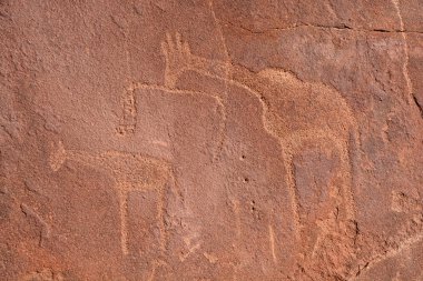 Petroglyphs in Twyfelfontein (Afrikaans: belirsizlik ilkbahar), resmi olarak bilinen (Damara / Nama: atlama su birikintisi), Namibya 'nın Kunene bölgesinde eski bir kaya oyması alanıdır..
