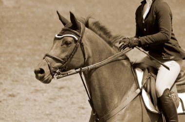 BROMONT-CANADA JULY 29: Unknown rider on a horse during 2011, INTERNATIONAL BROMONT on July 29, 2011 At the Equestrian 1976 Montreal Olympic Park.
