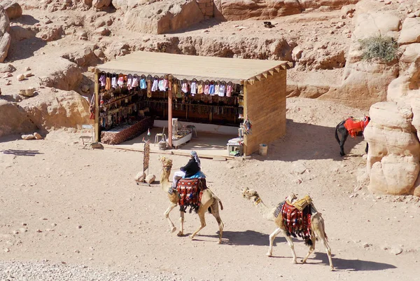 Petra Jordan Nov Hombre Identificado Busca Turistas Camello Noviembre 2009 — Foto de Stock