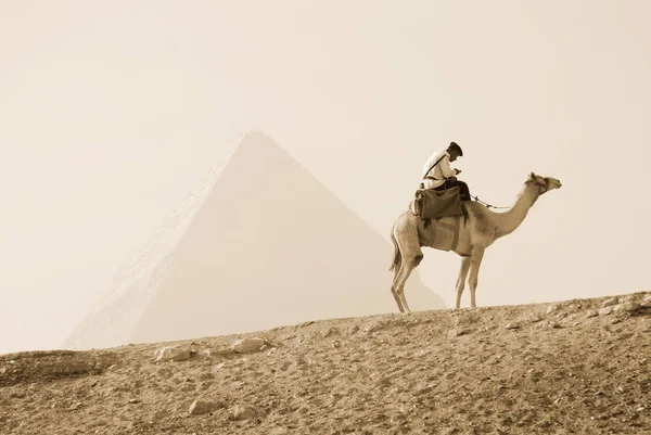 Giza Egypt Nov Uniformerad Turistpolis Patrullerar Pyramiderna Den November 2009 — Stockfoto