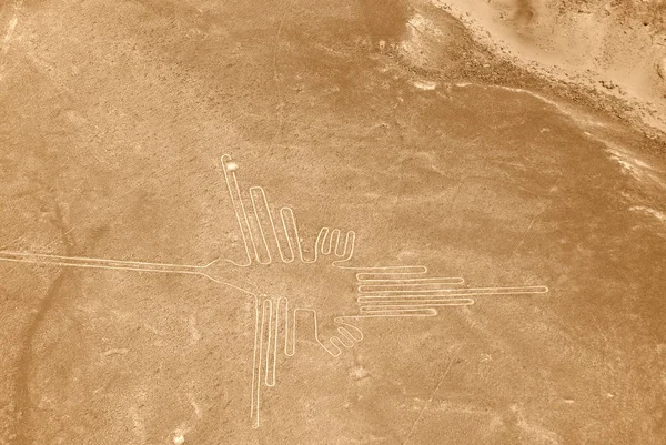 Hummingbird Das Linhas Nazca Uma Série Antigos Geoglifos Localizados Deserto — Fotografia de Stock