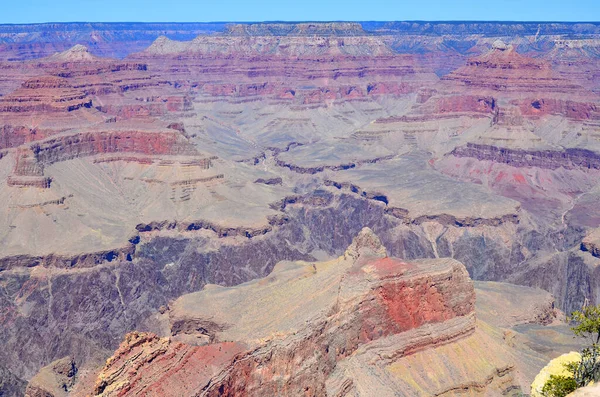Parc National Grand Canyon Bordure Adjacente Trouvent Dans Parc National — Photo
