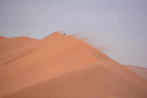 Parque Nacional Namib Naukluft Parque Nacional Namíbia Que Abrange Parte — Fotografia de Stock