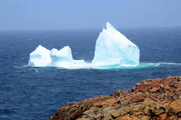 Iceberg Cape Bonavista Terre Neuve Canada — Photo