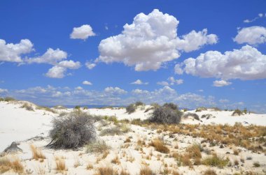 New Mexico eyaletindeki White Sands Ulusal Anıtı alçıtaşı kristallerinden oluşan beyaz kum tepecikleri alanıdır. Alçıtaşı kum tarlası Dünya 'daki türünün en büyüğüdür..