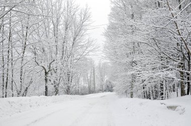 Karlı kış yolu yokuş aşağı
