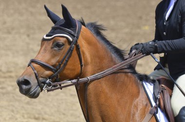 BROMONT-CANADA JULY 29: Unknown rider on a horse during 2011, INTERNATIONAL BROMONT on July 29, 2011 At the Equestrian 1976 Montreal Olympic Park.