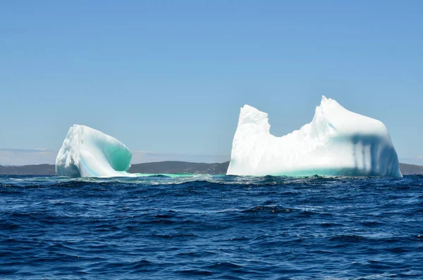 Iceberg Cape Bonavista Terre Neuve Canada — Photo