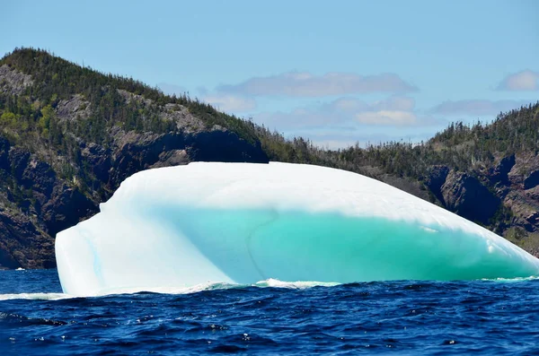 Góra Lodowa Cape Bonavista Nowa Fundlandia Kanada — Zdjęcie stockowe