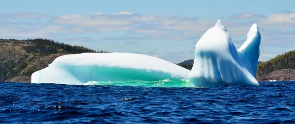 Iceberg Cabo Bonavista Terranova Canadá —  Fotos de Stock