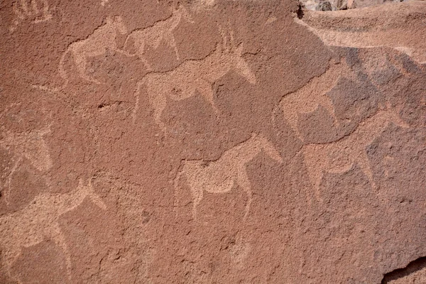 Petroglyphs Twyfelfontein Afrikaans Onzekere Bron Officieel Bekend Damara Nama Springen — Stockfoto