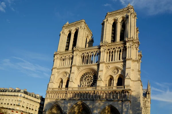 Παρίσι Γαλλία Οκτωβρίου Καθεδρικός Ναός Notre Dame Του Παρισιού Γαλλία — Φωτογραφία Αρχείου