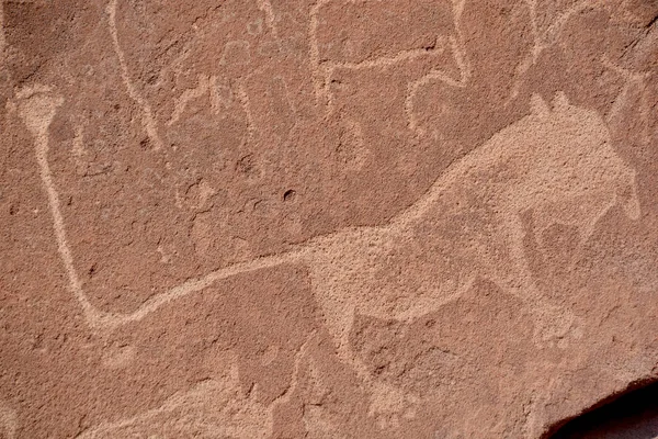 Petroglyfy Twyfelfontein Afrikánština Nejisté Jaro Oficiálně Známé Damara Nama Skákající — Stock fotografie