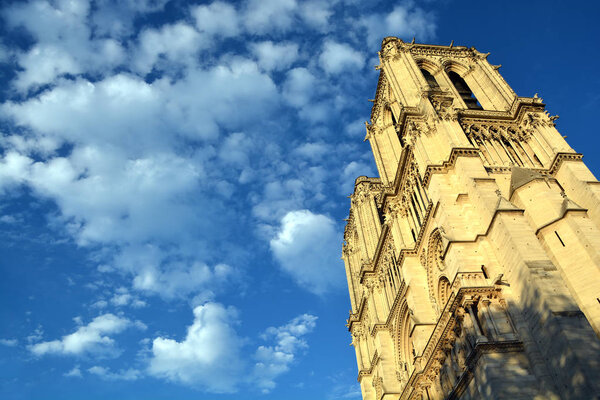 PARIS, FRANCE - OCTOBER 12: The Notre Dame cathedral of Paris, France, on october 12, 2013, one of the most famous landmarks in Paris. In 2014, the cathedral celebrate its 850 years anniversary.