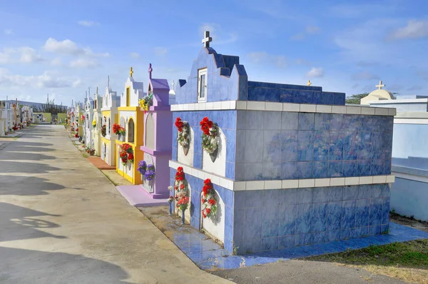 Noord Aruba November Santa Anna Catholic Cemetery 지상의 표지물은 작업으로 — 스톡 사진