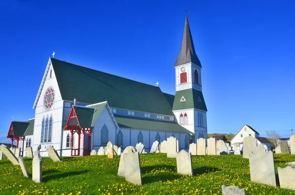 Newoundland June 세인트 성공회 June Trinity Newfoundland 2014 마을에는 지역에 — 스톡 사진