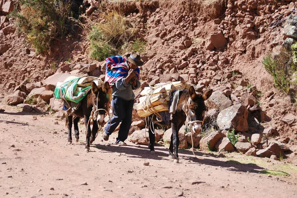 Titicaca Lake Peru November Old Peruvian People Living Titicaca Lake — 图库照片