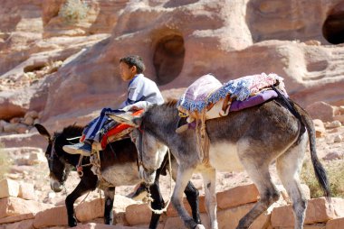 Petra-Ürdün 25 Numara: Kimliği belirsiz çocuklar 25 Kasım 2009 Petra, Ürdün 'de eşeğe binmek için turist arıyor. Yolculuk 20 jd tuttu. Petra, Nabataean krallığının etkileyici başkentiydi..